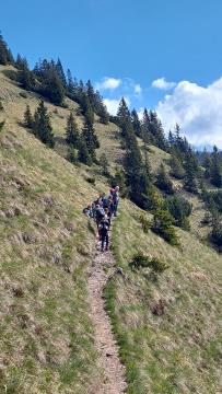 11 mini tabor hb  19